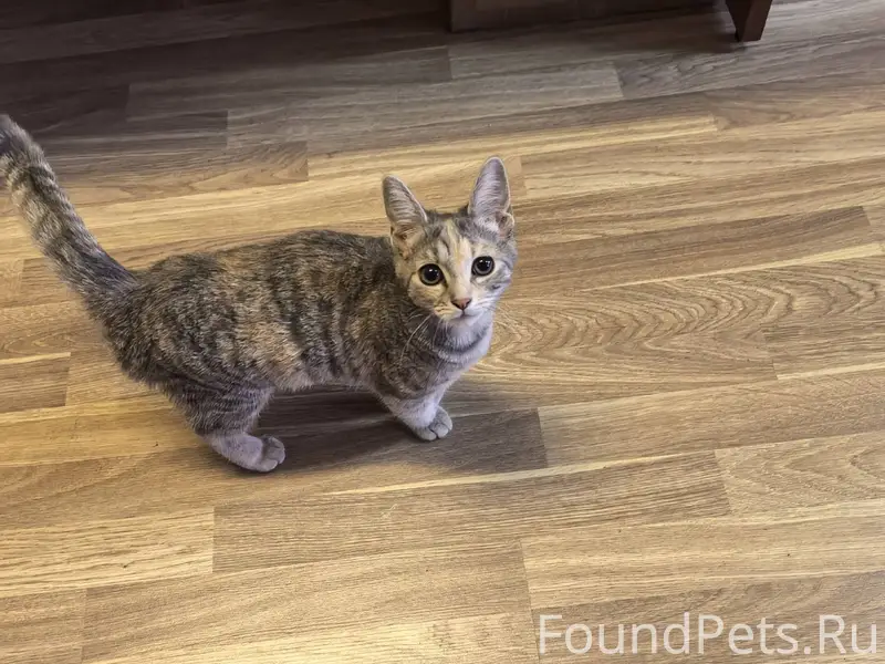 Утром 24.11.25 на входе...