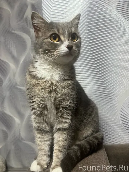 ✨️ИЩЕМ НОВЫЙ ДОМ 🏠 ✨️ 26...