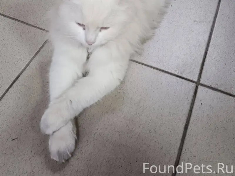 🆘 24.11.25 по адресу...