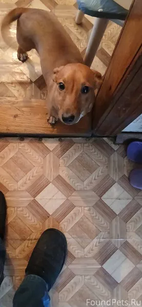 Всем здравствуйте, в Нижней Са...