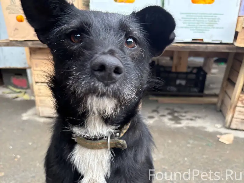 Может кто то потерял , говорят...