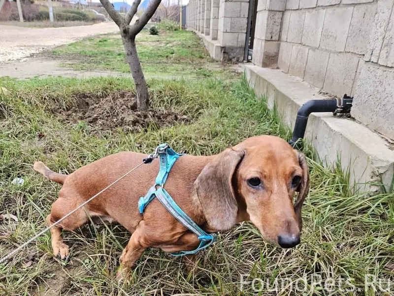 Волгоград Волжский , в Ср. Ахт...