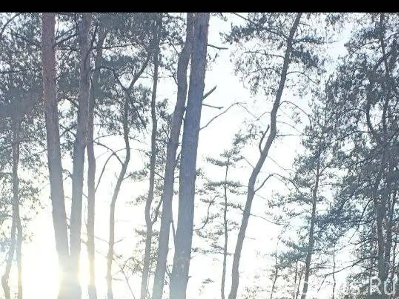 Горловка. Ребята, помогите пож...