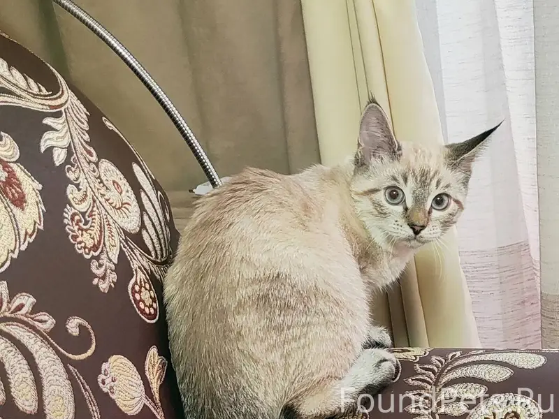 Новомосковск, Залесный улица П...