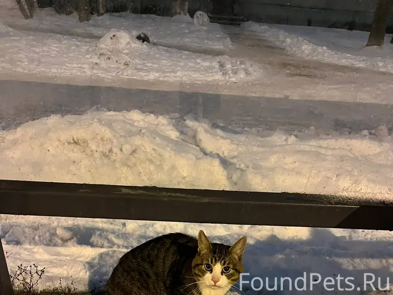 27 ноября вечером на остановке...