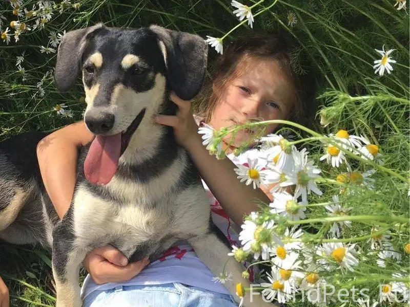 25 ноября в с . Чаусово во...