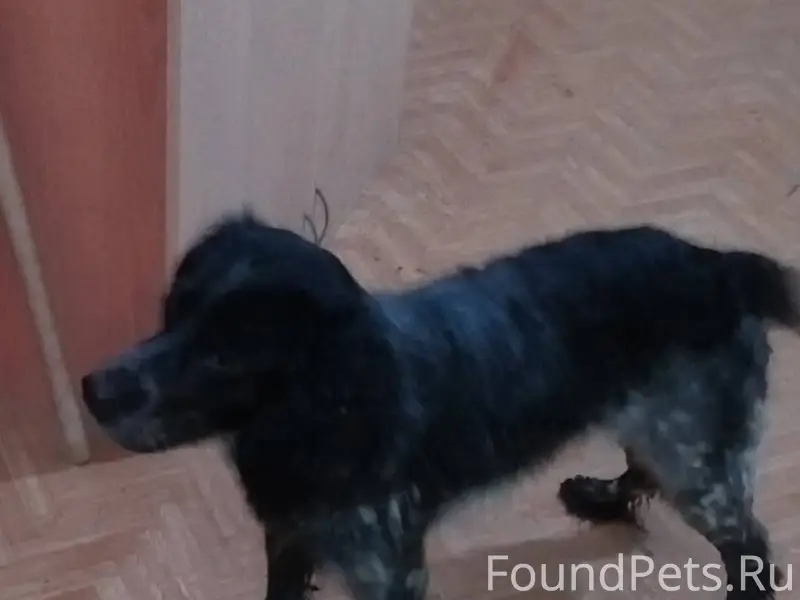 Написали: Здравствуйте, на Щор...