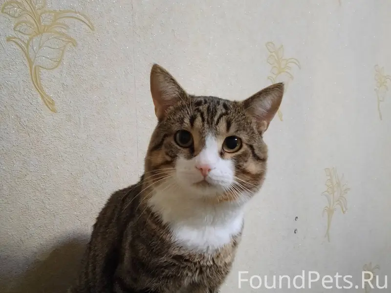 Всем доброго дня!В районе парк...