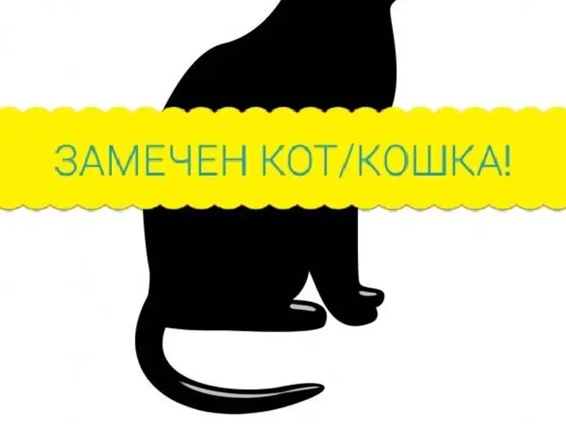 ВОЗМОЖНО ПОТЕРЯШКА! Сегодня, н...