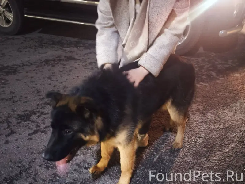 Доброго времени суток, Прошу в...