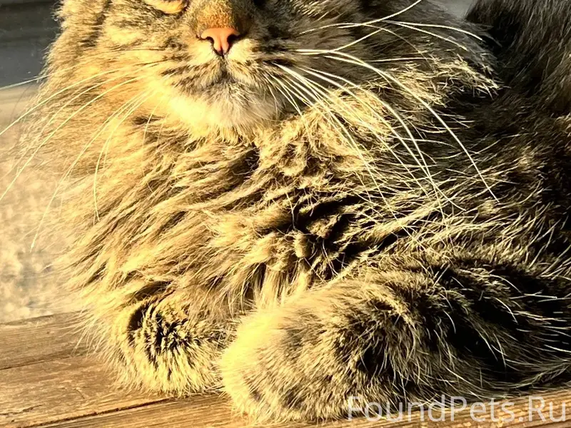 🆘 МЕНЯ ПРЕДАЛИ ЛЮДИ 🥺🆘 ❌...