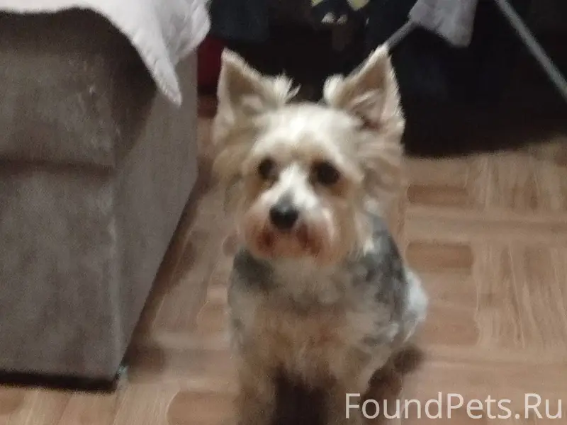 Добрый вечер, опубликуйте пожа...