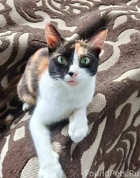 Здравствуйте, извините, что не...