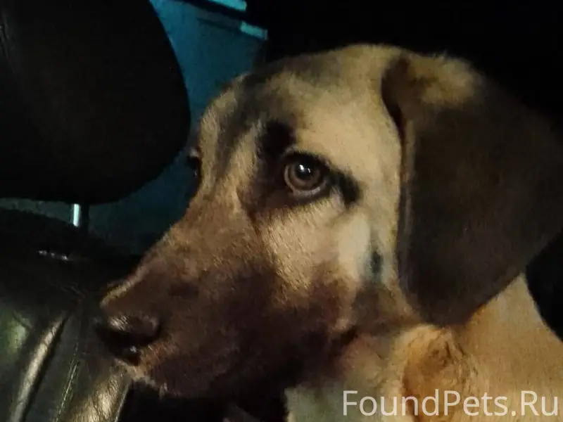 ❗Московская область❗ г. Ногинс...