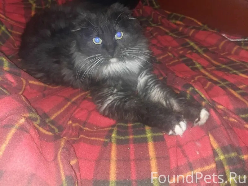 💢Здравствуйте прошу найти моег...