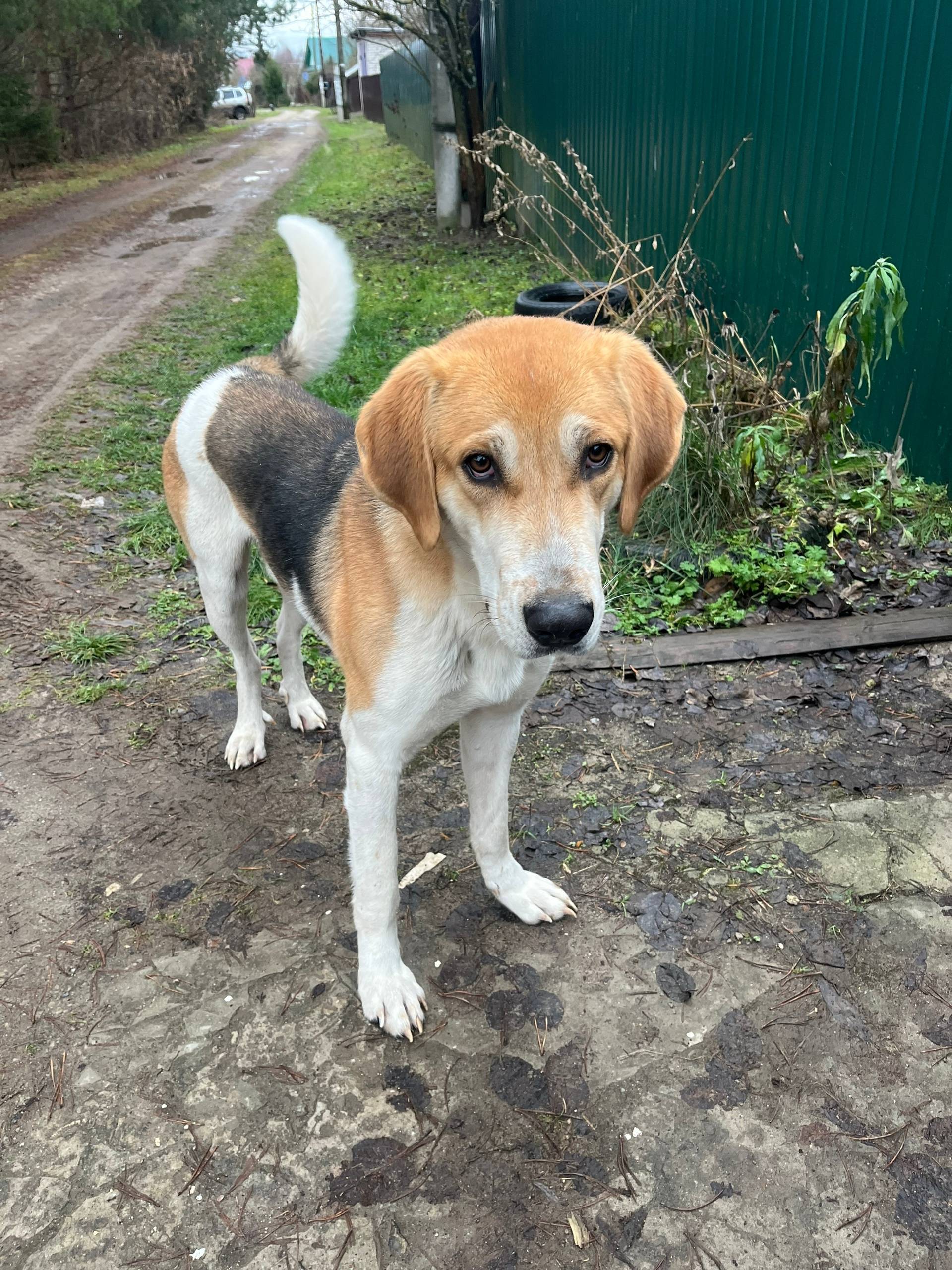 Здравствуйте. В районе дСмирин...