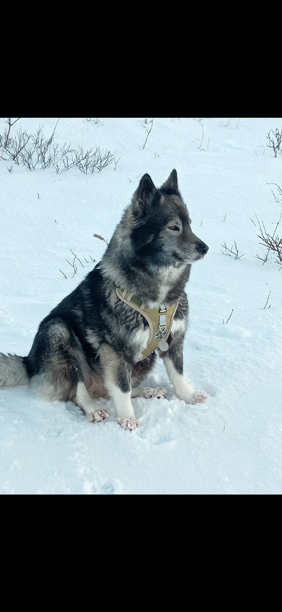 Доброе утро Воркутинцы. Вчера ...