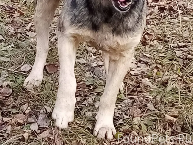 СТЕРЛИТАМАК !!! Потерялись эти...