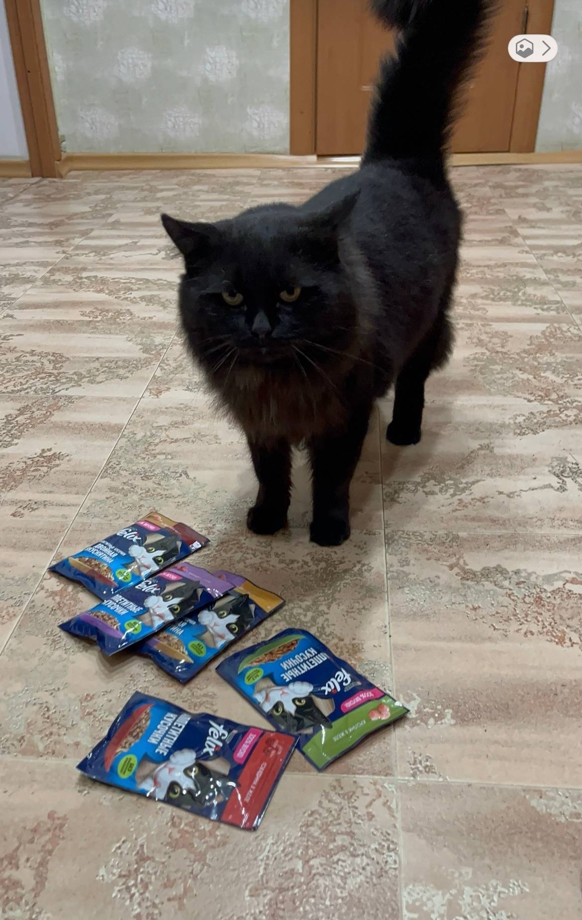 Пропал кот. Ориентировочно в р...