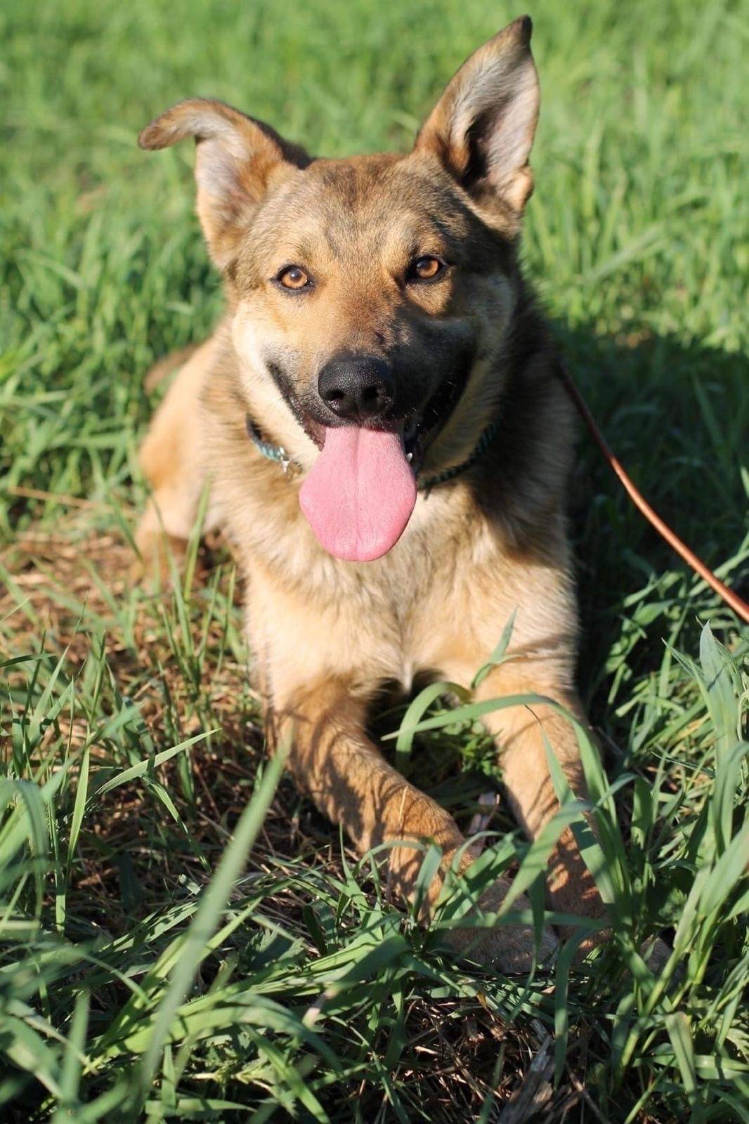 Пожалуйста, умоляю 😭 Выпустила...