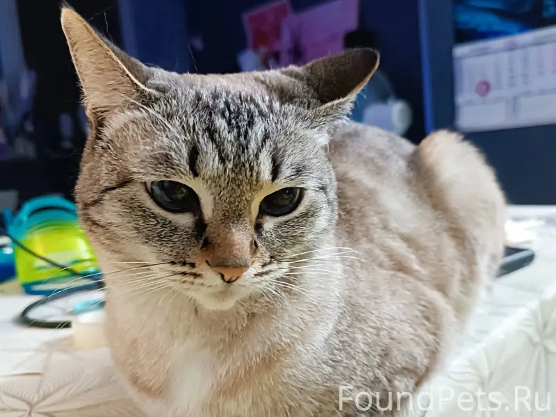 28.11.2025 в 24-мкр...