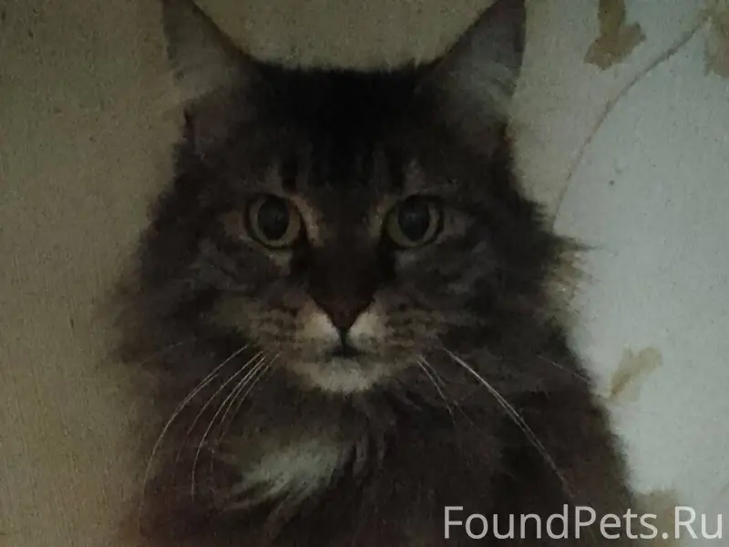 Сегодня у меня была "бурная " ...