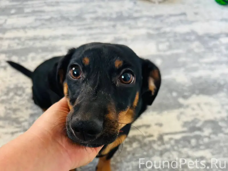 Добрый день,друзья,чья девочка...