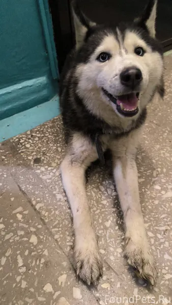 На проспекте Ильича, возле дом...