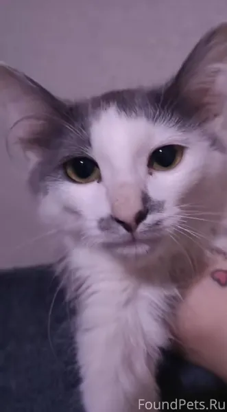 #Калуга Пожалуйста помогите на...