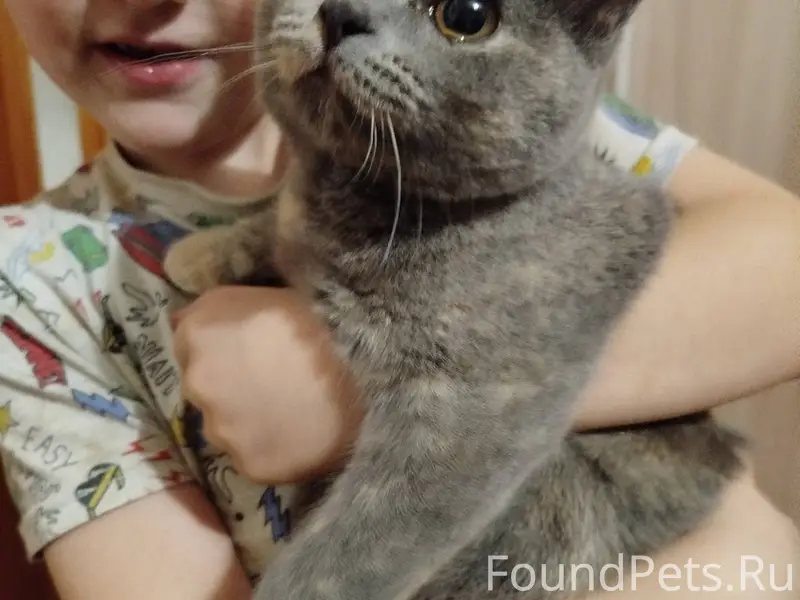 В районе березовой рощи найден...