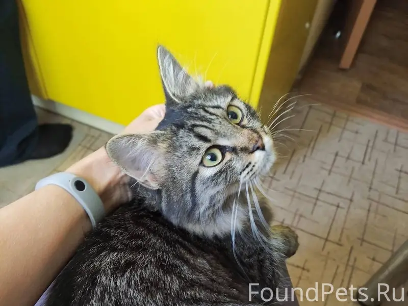 Помогите, пожалуйста, найти! 3...