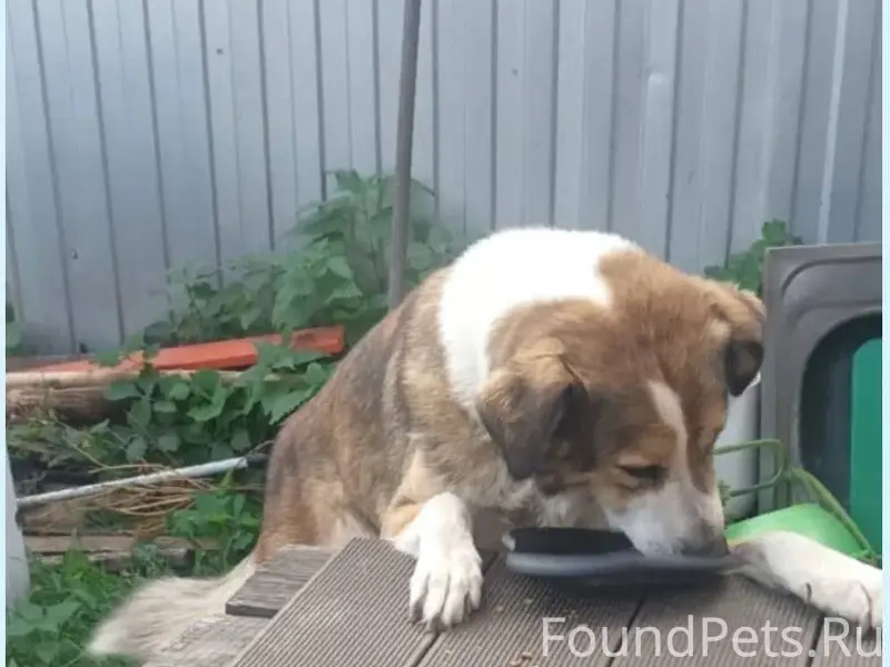 🆘🆘🆘🆘🆘🆘🆘🆘🆘🆘 Пожалуйста, максима...