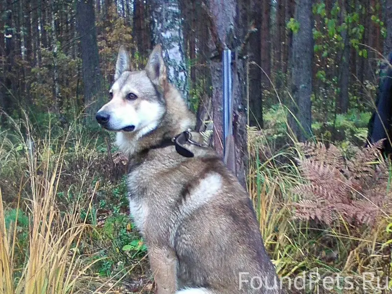 22 ноября в субботу вечером в....