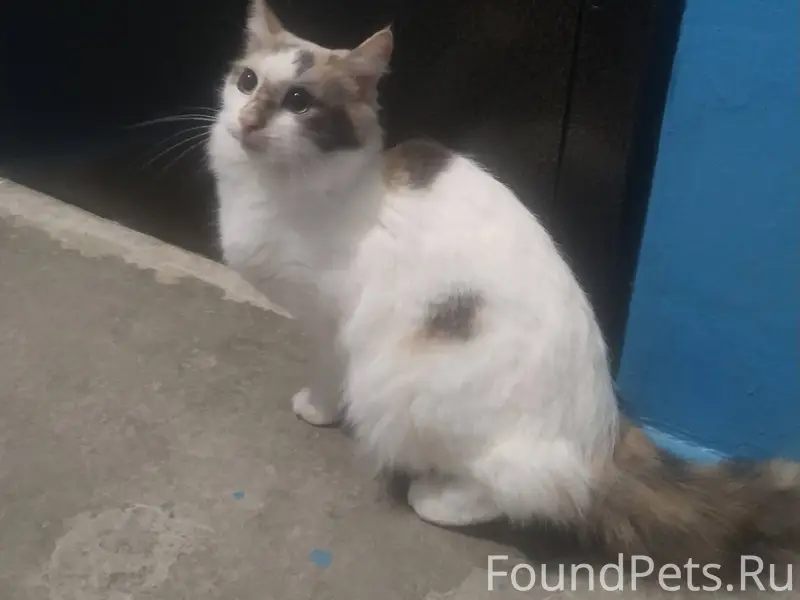 Волжский, 17 мкр, ул Нариманов...