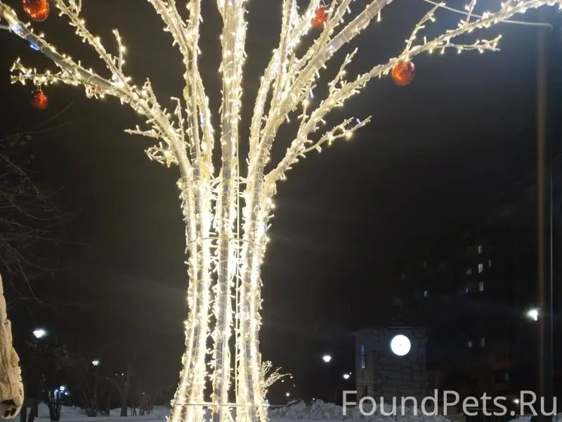 ВСЁ ЕЩЁ НЕ НАЙДЕН ‼ ПРОПАЛА...