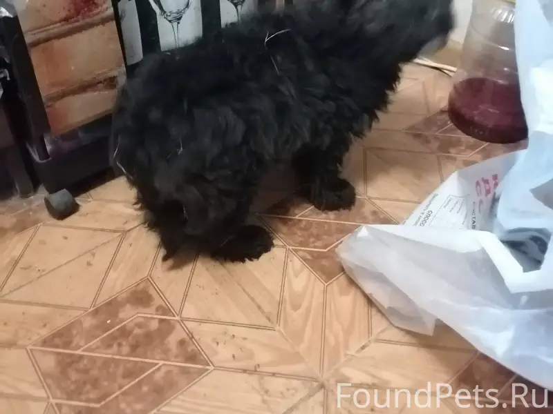 Продолжение номер два)) От хоз...