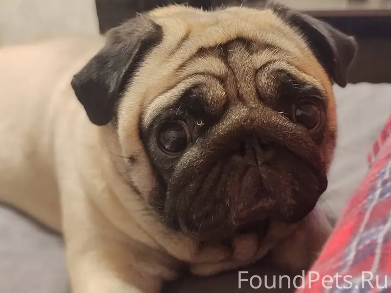 В ночь с 29.11-30...