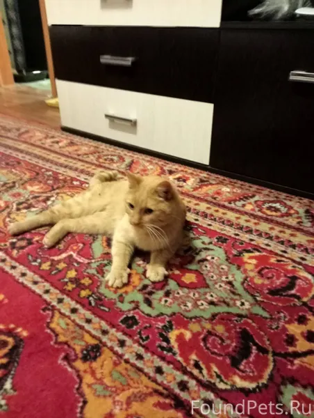 29 ноября,вечером был найден р...