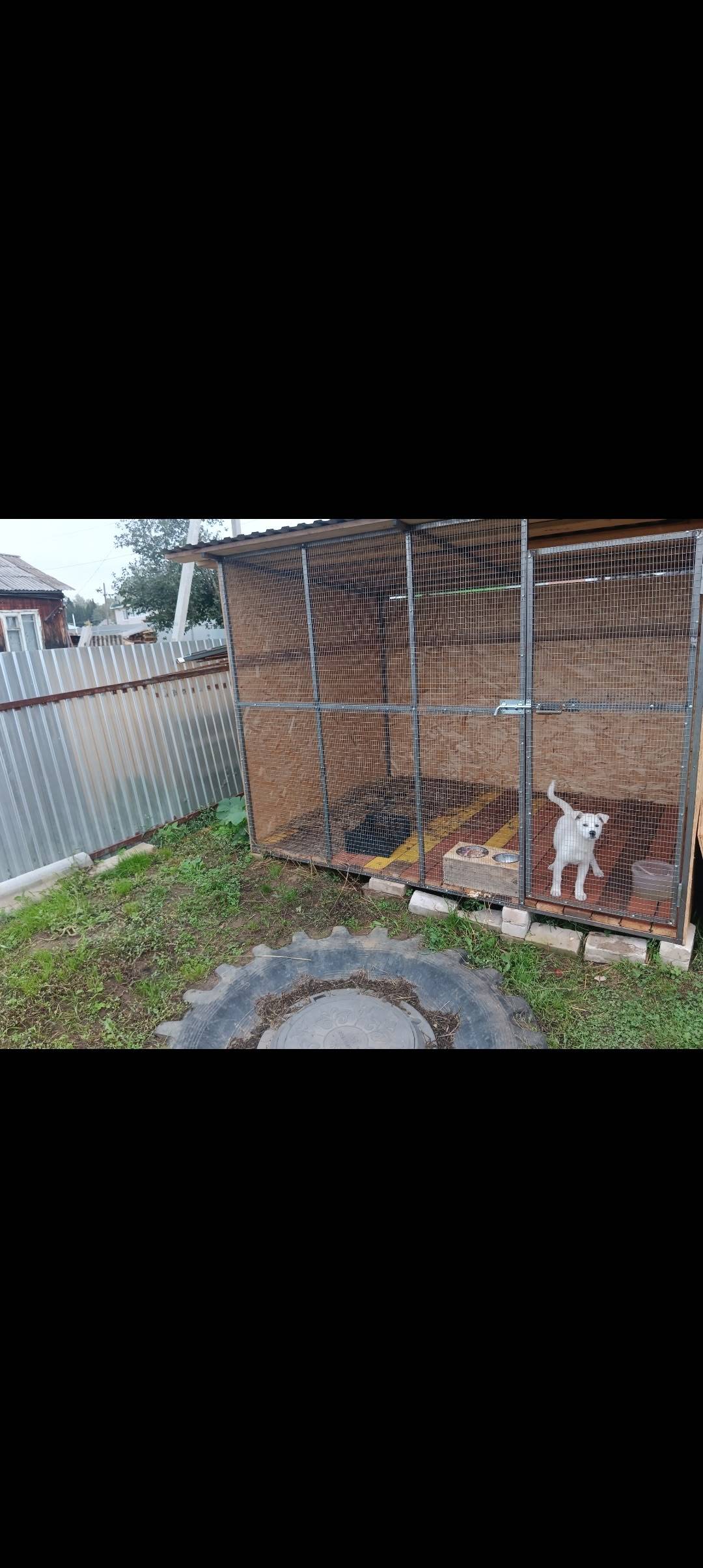 Потерялась собака,3.11,в район...