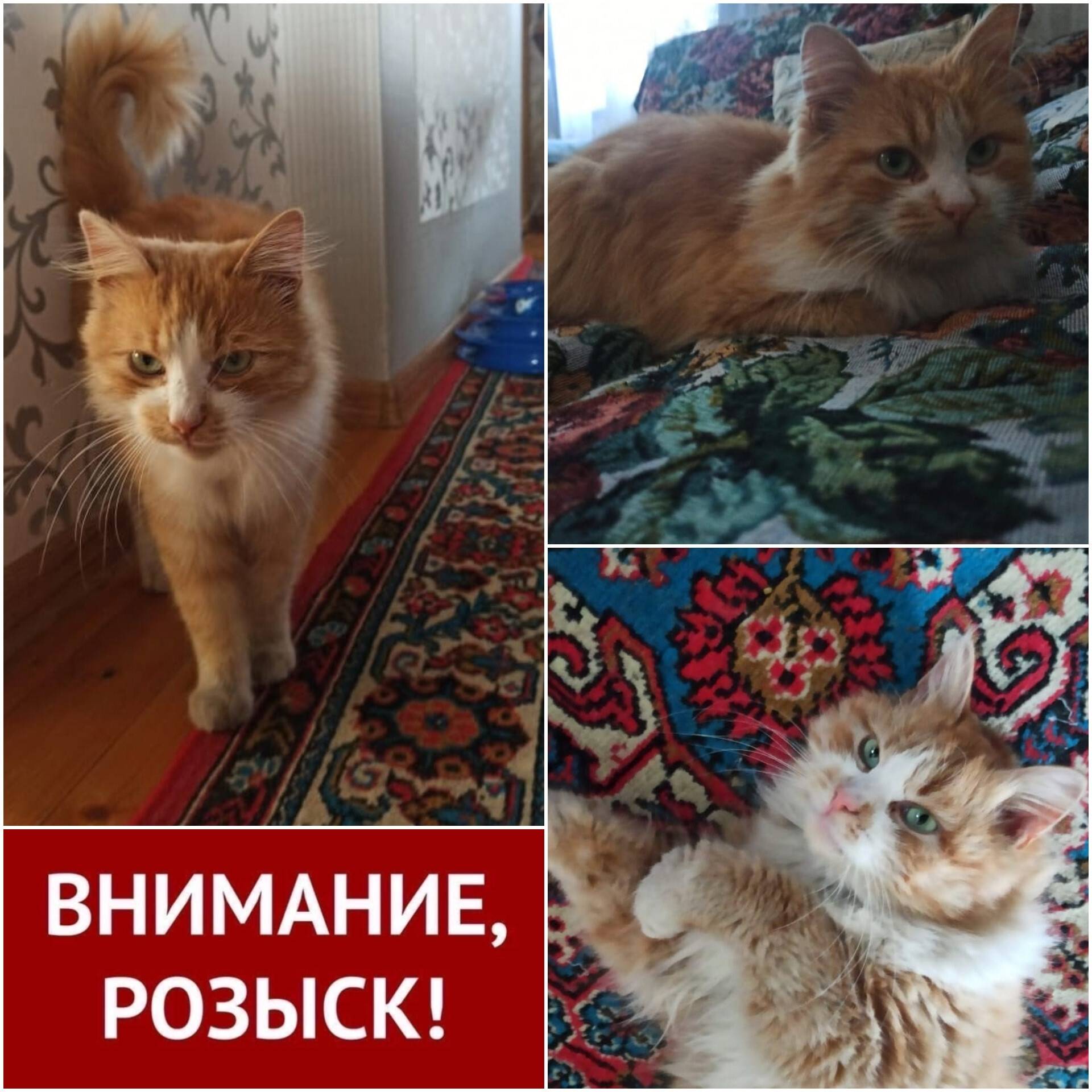 Ставрополь района мамайка . Пр...