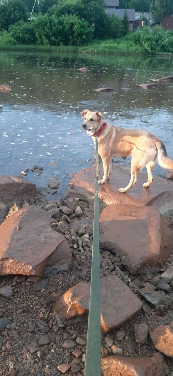 Друзья,очень прошу помощи в ре...