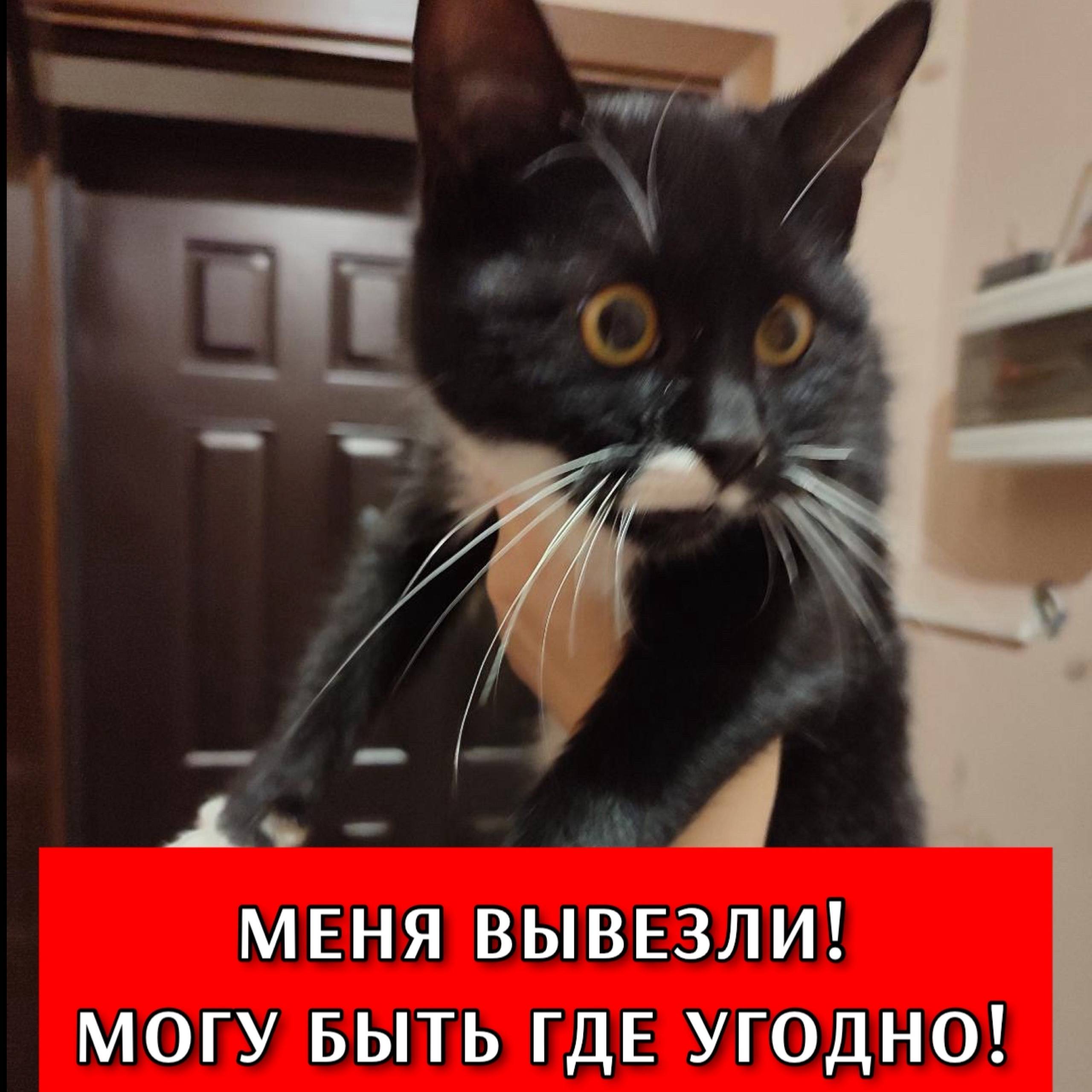 Михайловск, Ставрополь и окрес...