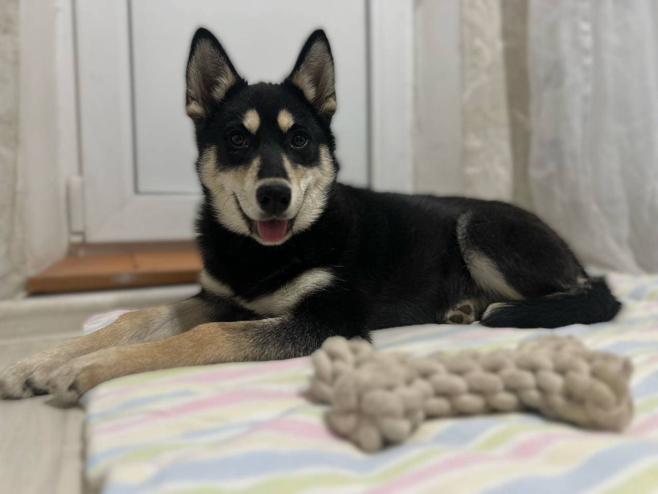 Казань ‼️ Репост ‼️ 🙏 2...