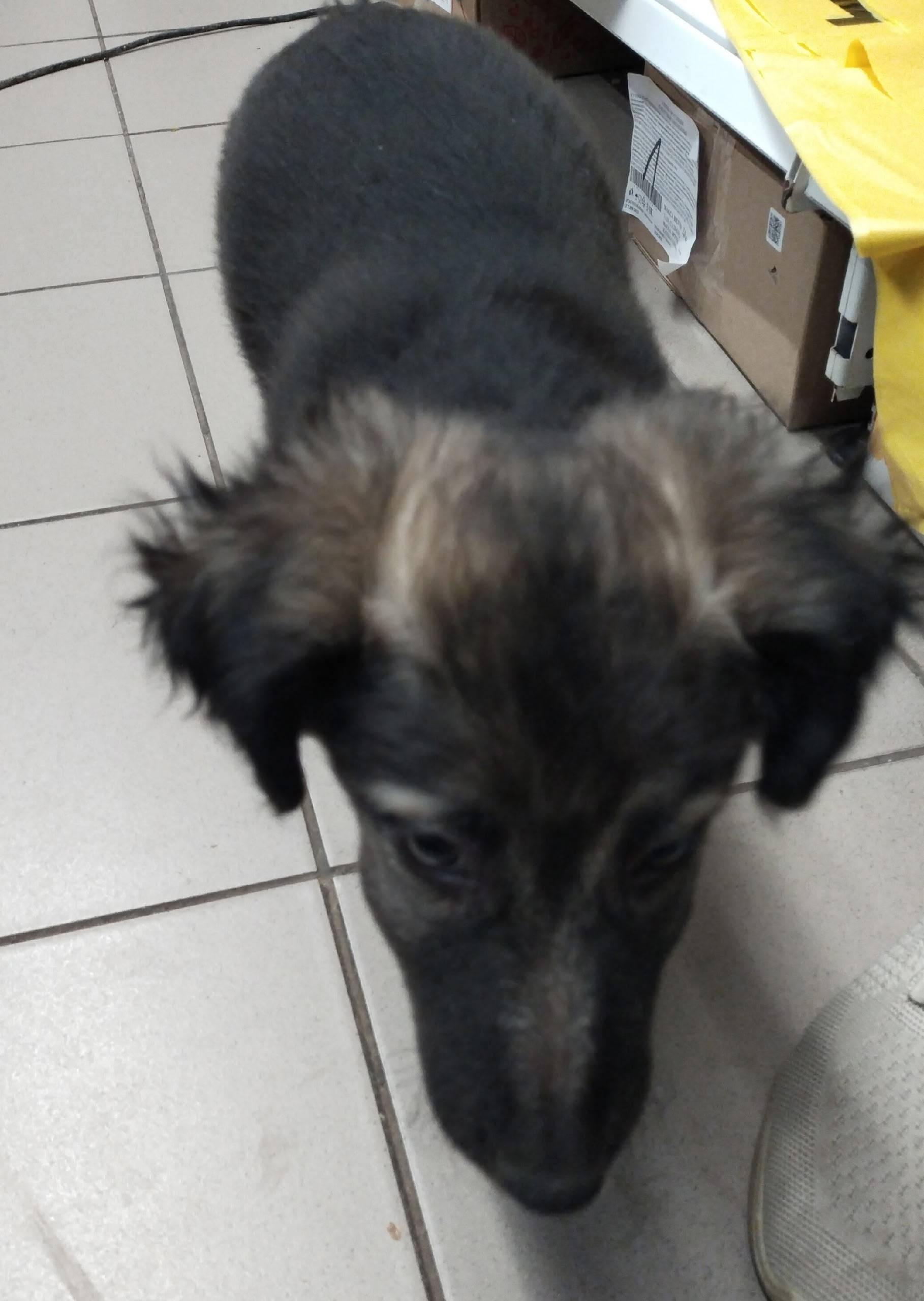 Помогаю информационно. На ост....