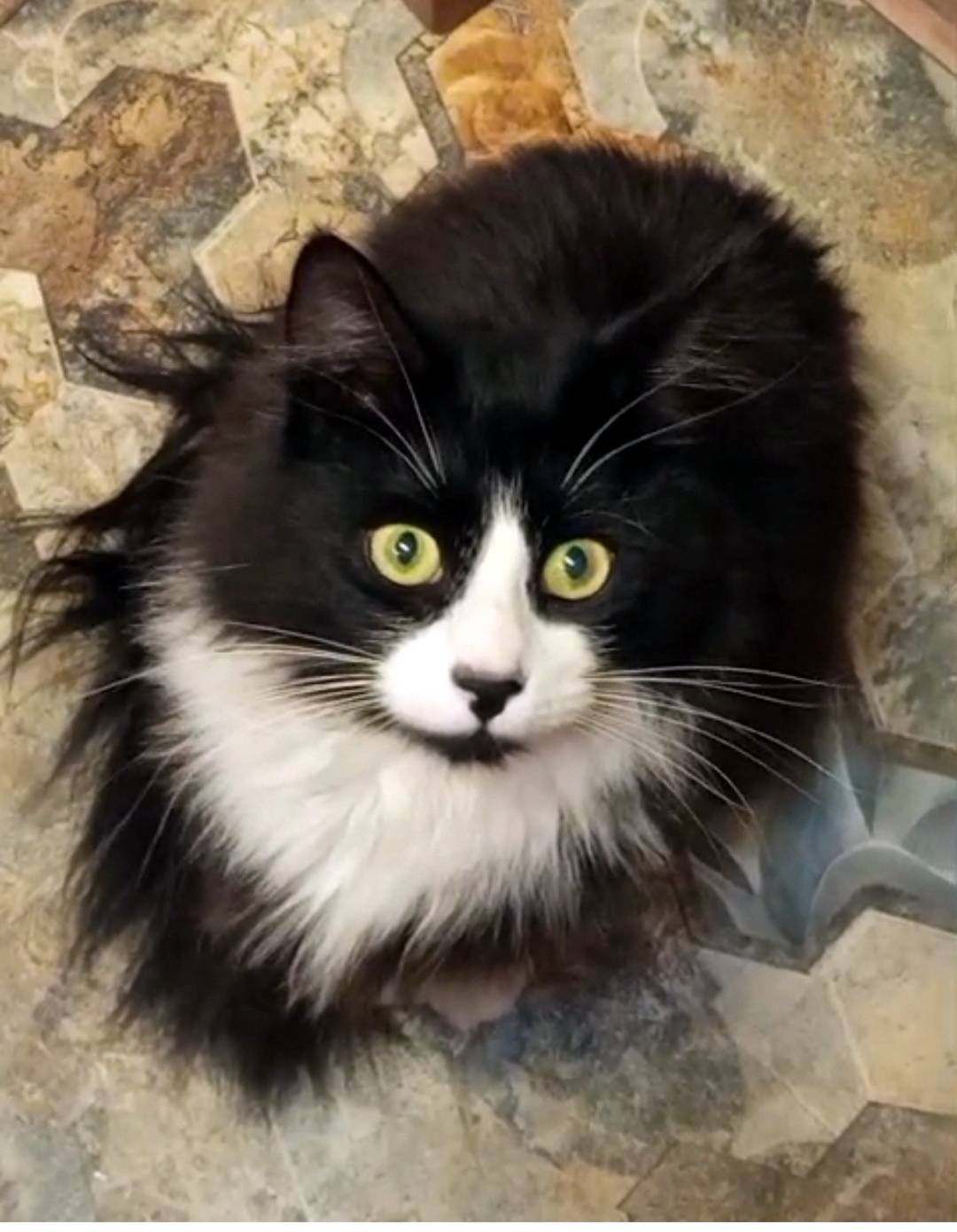 Внимание, Тверская обл., Нелид...