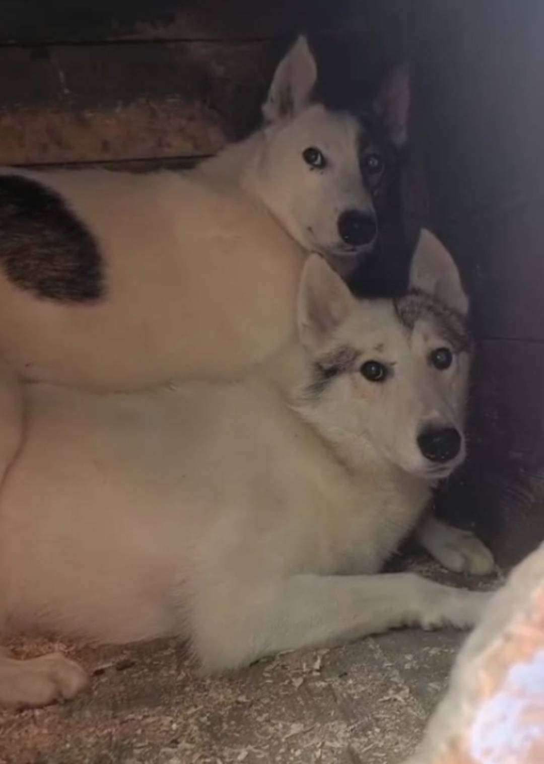 📍ул. Чехова, Октябрьский район...