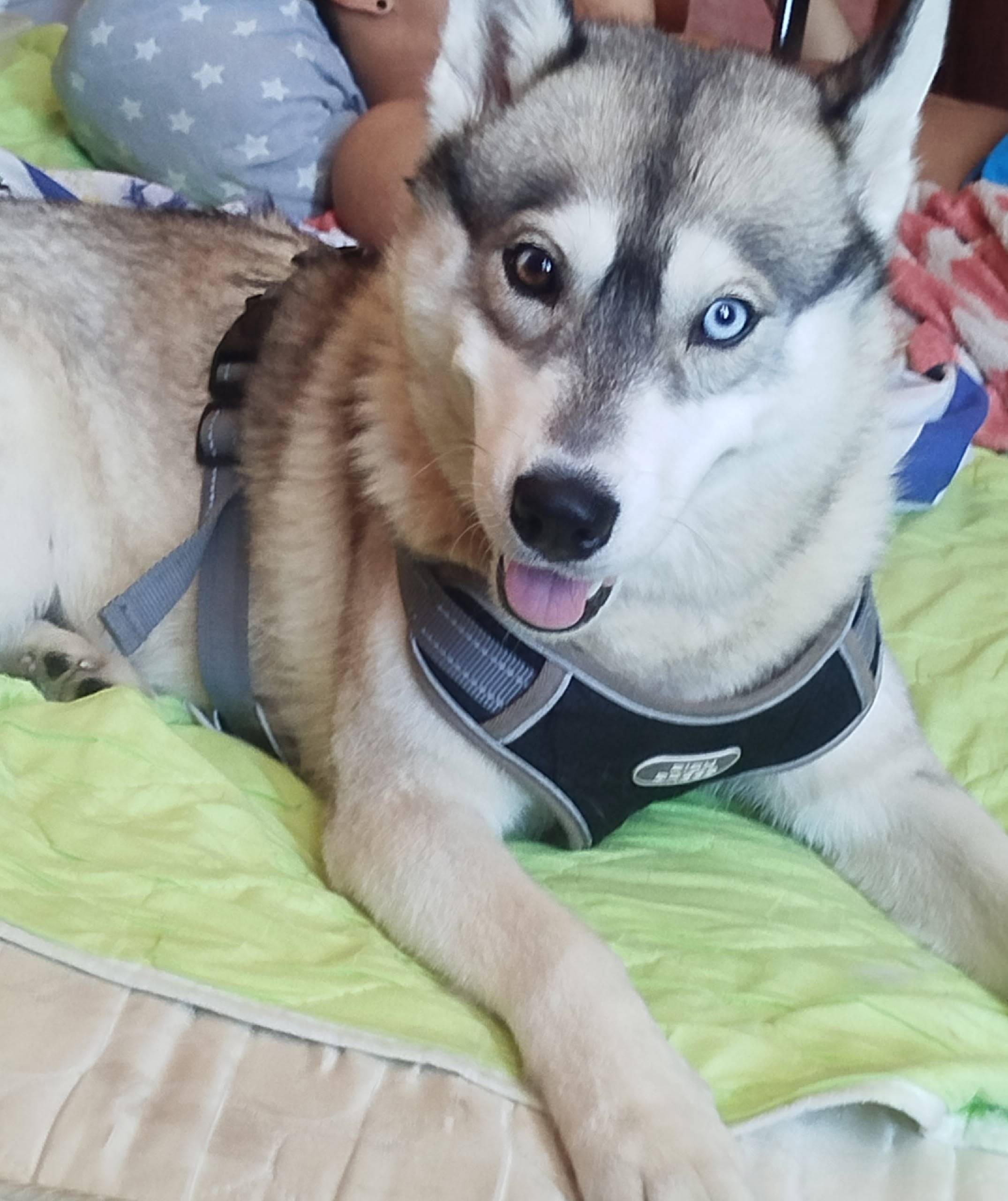 🆘⚡❗ Помогите найти ❗⚡🆘 ⚠️Потер...