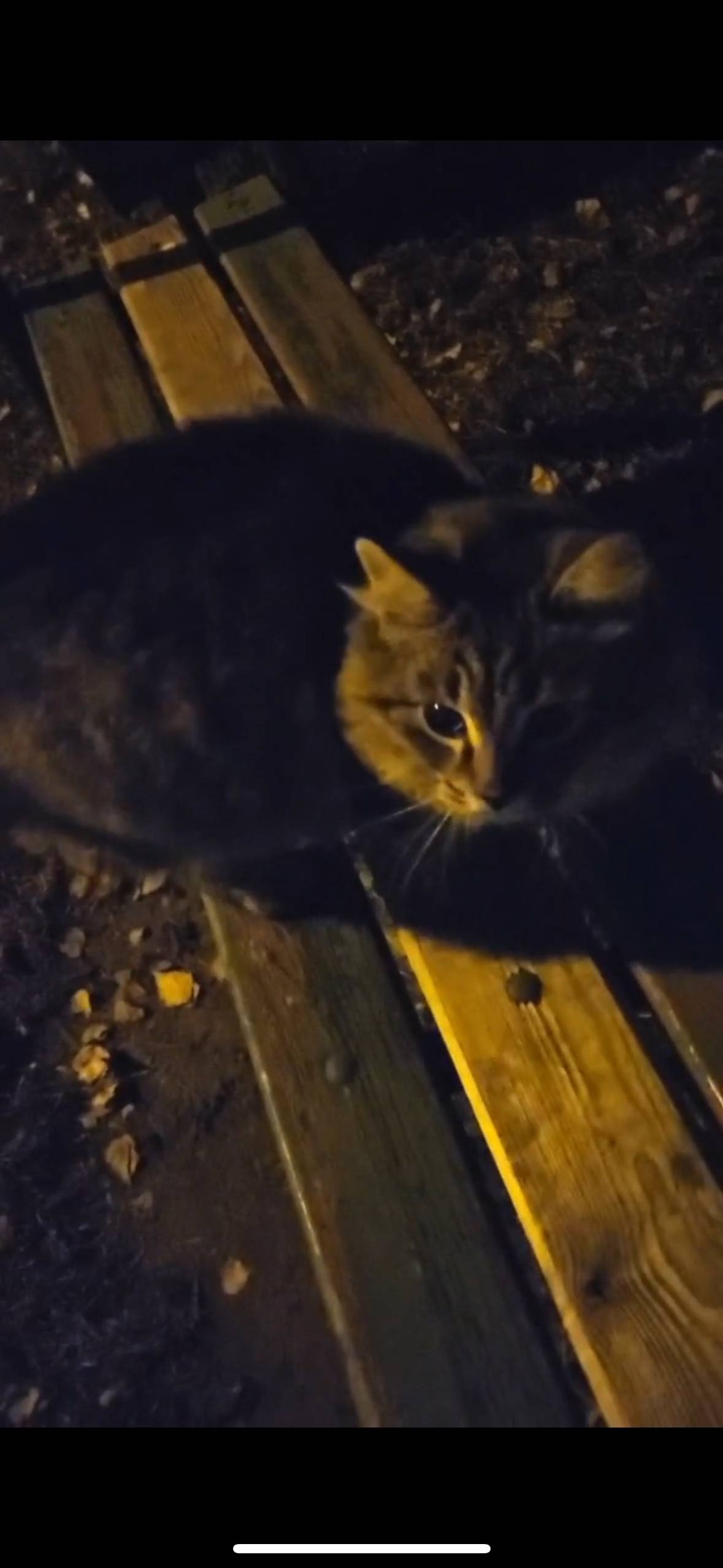 Здравствуйте. 04.11.25 Тимиряз...