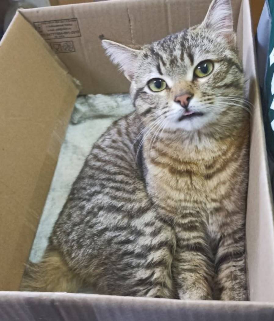 Присмотритесь пожалуйста. В Чк...