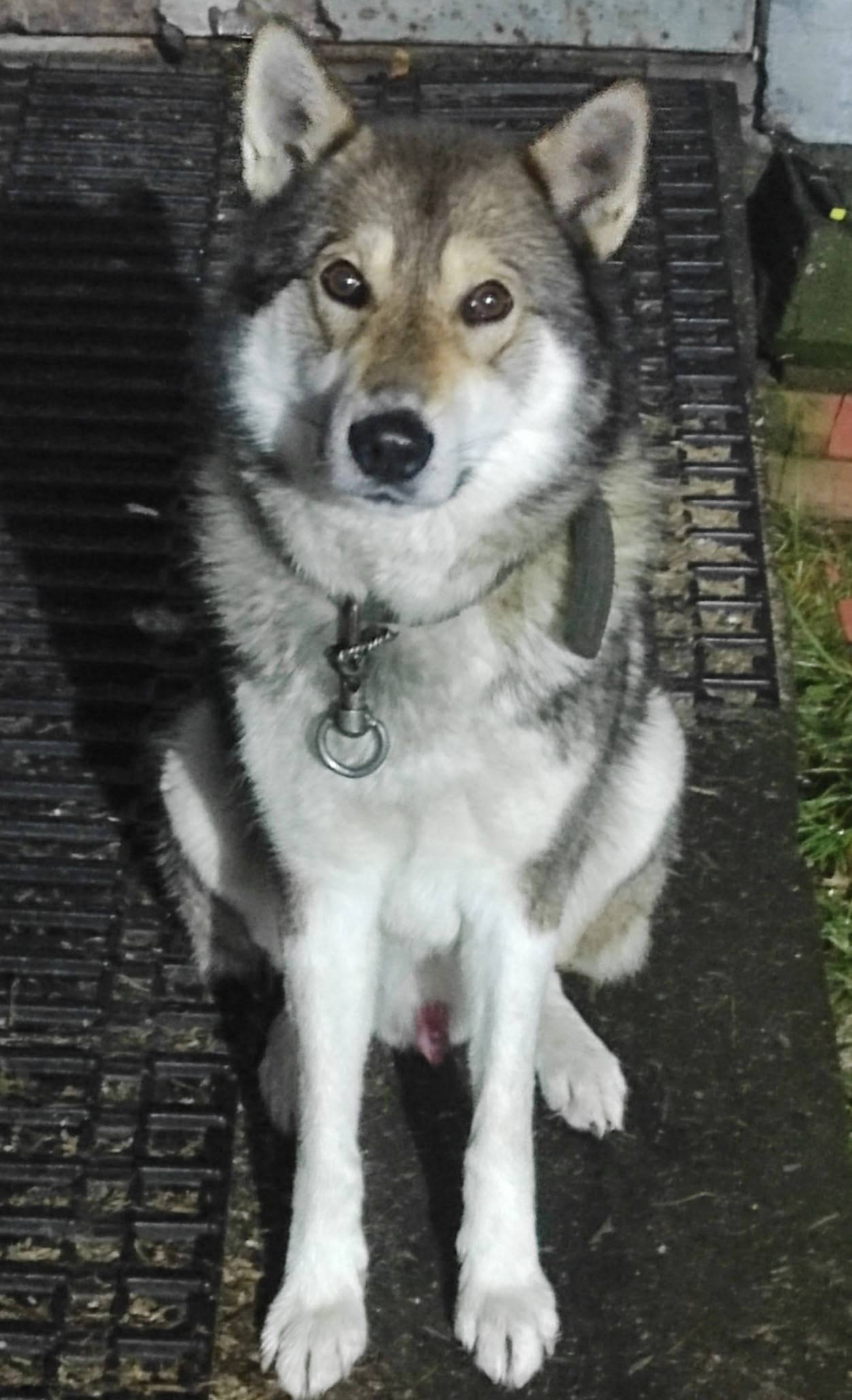 Здравствуйте, может кто-то пот...